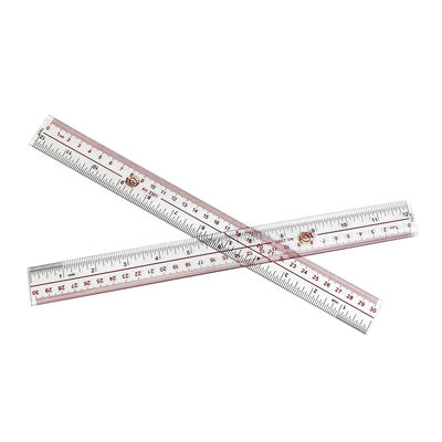 30cm Plastik Şeffaf ESD Kuşak Antistatik Düz Kuşak